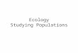 Ecology Studying Populations. Levels of Organization
