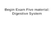 Begin Exam Five material: Digestive System. Digestive System: Overview –mouth, pharynx, esophagus, stomach, small intestine, and large intestine –teeth,