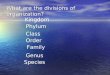 What are the divisions of organization? Kingdom Phylum Class Order Family Genus Species