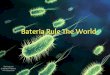 U feel like We will talk about : 1- what are Bacteria. 2- Bacteria’s role in our world. 3- facts about bacteria