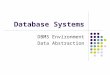Database Systems DBMS Environment Data Abstraction