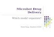 Microbot Drug Delivery Which model organism? Mark Fang, Stanford iGEM