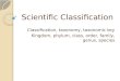 Scientific Classification Classification, taxonomy, taxonomic key Kingdom, phylum, class, order, family, genus, species