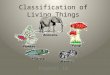 Classification of Living Things Chapter 18. Why Classify Classification is used to name organisms and group them in a logical manner – Biologists have