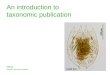 An introduction to taxonomic publication RBINS Global Taxonomy Initiative