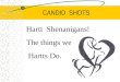 CANDID SHOTS Hartt Shenanigans! The things we Hartts Do