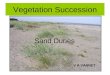 Vegetation Succession Sand Dunes V A VANNET. Plant Succession Evolution of plant communities From pioneer species to climax vegetation Related to change