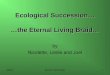 6/5/03M-DCC / PCB 2340C1 Ecological Succession… …the Eternal Living Braid… by Nicolette, Leslie and Joel