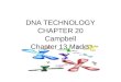 DNA TECHNOLOGY CHAPTER 20 Campbell Chapter 13 Mader