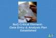 BoQ Critical Element: Data Entry & Analysis Plan Established