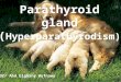 Parathyroid gland ( Hyperparathyrodism) Dr/ Abd Elghany Hefnawy
