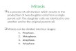 Mitosis  Is a process of cell division which results in the production of two daughter cells from a single parent cell. The daughter cells are identical