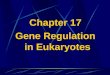 Chapter 17 Gene Regulation in Eukaryotes Similarity of regulation between eukaryotes and prokaryote 1. Principles are the same: signals, activators and