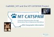 CadNSDI_MT and the MT CATSPAW Project. Vision – is the vision of BLM’s National PLSS Data Steward, that digital PLSS information be maintained, integrated,