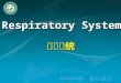 呼吸系统 Respiratory System. The General Description Composition Nose Pharynx upper respiratory tract Larynx Trachea lower respiratory tract Bronchi