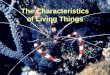 The Characteristics of Living Things. Great Complexity & Cellular Organization Reproduction & Development Responds with the Environment Metabolism Capacity