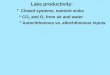 Lake productivity: Closed systems, nutrient sinks CO 2 and O 2 from air and water Autochthonous vs. allochthonous inputs
