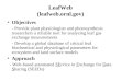 LeafWeb (leafweb.ornl.gov) Objectives - Provide plant physiologists and photosynthesis researchers a reliable tool for analyzing leaf gas exchange measurements
