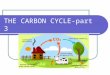 THE CARBON CYCLE-part 3. Carbon Cycle The same carbon atoms are used over and over on earth. They cycle between the earth & the atmosphere
