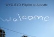 Pilgrim to Apostle WYD SYD Pilgrim to Apostle. “Pilgrim” – part of the ‘lingo