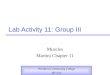 Lab Activity 11: Group III Muscles Martini Chapter 11 Portland Community College BI 231