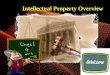 Intellectual Property Overview Intellectual Property Rights  There are various forms of Intellectual property rights (IP rights) and they include: Patents