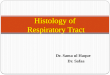 Dr. Sama ul Haque Dr. Safaa Histology of Respiratory Tract