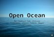 Open Ocean By: Madison Poe, Chelsea Yarbrough, Alexis Treace, Megan Williams