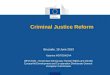 Criminal Justice Reform Brussels, 18 June 2013 Katarina MOTOSKOVA DEVCO B1 –Governace Democracy Human Rights and Gender EuropeAid Development and Co-operation