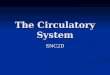 The Circulatory System SNC2D. The circulatory system circulates (moves) your blood through your body
