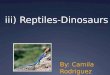 Iii) Reptiles-Dinosaurs By: Camila Rodriguez. Dinosaurs  Not the first reptile  Triassic period  Cretaceous period  Diapsid skull