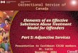 Elements of an Effective Substance Abuse Treatment Model for Offenders Part 5: Adjunctive Services Presentation to Caribbean CICAD members St. Lucia November,