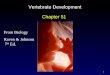 1 Vertebrate Development Chapter 51 From Biology Raven & Johnson 7 th Ed