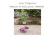 Lisa Tregenza Master of Education (MMRE). My day job……