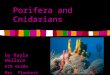Porifera and Cnidarians by Kayla Wallace 6th Grade Mrs. Plunkett 20II/Taxa/b1313_ch18.htm