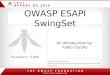 OWASP ESAPI SwingSet An introduction by Fabio Cerullo