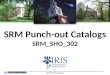 SRM Punch-out Catalogs SRM_SHO_302 SRM Punch-out Catalogs