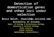 Detection of domestication genes and other loci under selection Bruce Walsh, jbwalsh@u.arizona.edu University of Arizona Depts. of Ecology & Evolutionary