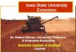 Dr. Robert Wisner: Grain Outlook 3/15/06 Iowa State University Extension Biofuels Update & Outlook 11/27/07 Dr. Robert Wisner, University Professor & Extension