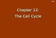 Slide 1 Chapter 12: The Cell Cycle. Slide 2 Fig. 12-1 The Cell Cycle