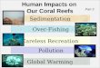 Human Impacts on Our Coral Reefs Global Warming Sedimentation Over-Fishing Careless Recreation Part 3 Pollution