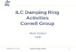 September 12, 2011 Global Design Effort 1 ILC Damping Ring Activities Cornell Group Mark Palmer GDE