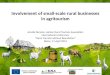 Involvement of small-scale rural businesses in agritourism Asnāte Ziemele, Latvian Rural Tourism Association International conference “Rural Tourism without