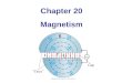 Chapter 20 Magnetism. Units of Chapter 20 Magnets and Magnetic Fields Electric Currents Produce Magnetic Fields Force on an Electric Current in a Magnetic