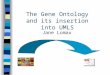 The Gene Ontology and its insertion into UMLS Jane Lomax
