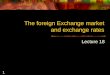 1 The foreign Exchange market and exchange rates Lecture 18