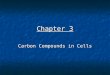 Chapter 3 Carbon Compounds in Cells. Organic Compounds Contain carbon and one or more additional elements Contain carbon and one or more additional elements