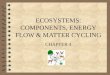 ECOSYSTEMS: COMPONENTS, ENERGY FLOW & MATTER CYCLING CHAPTER 4