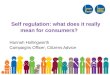 Self regulation: what does it really mean for consumers? Hannah Hollingworth Campaigns Officer, Citizens Advice