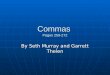 Commas Pages 259-272 By Seth Murray and Garrett Thelen